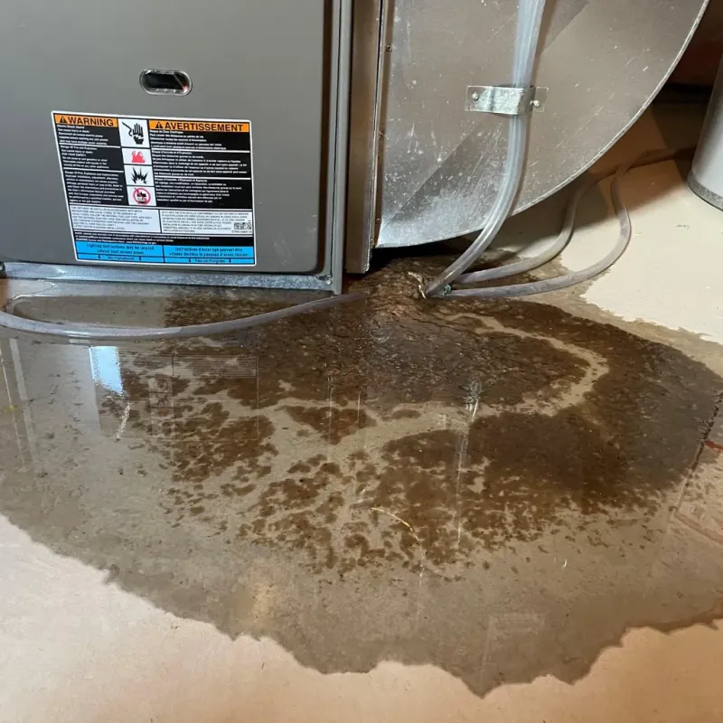 Appliance Leak Cleanup in Sanford, NC